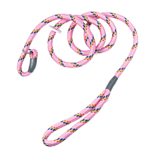 Bisley Multi-Coloured Pink Slip Lead
